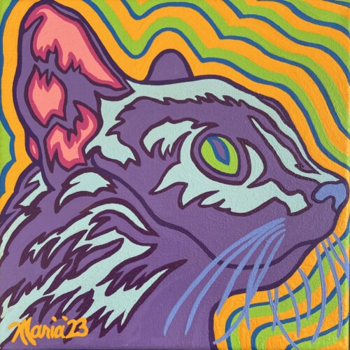 Cosmic Cosmo (Midcoast Humane)