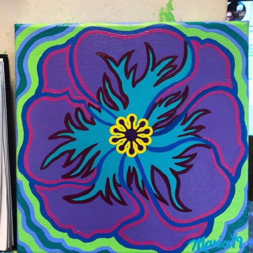 Purple Poppy (Maine Audubon)