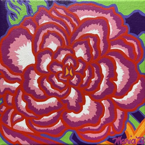 Begonia (Neal Casal Music Foundation)