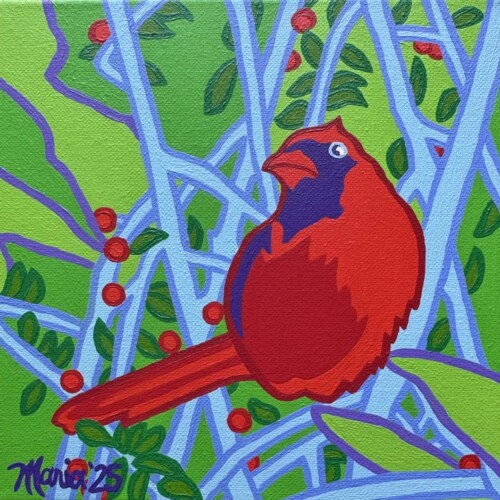 Carol's Cardinal (Neal Casal Music Foundation)