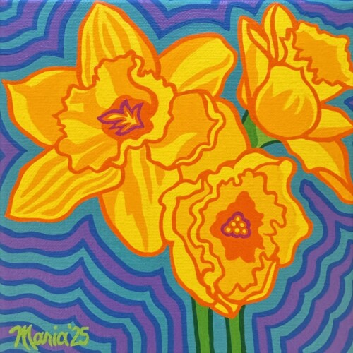 Daffodils (Brunswick-Topsham Land Trust)