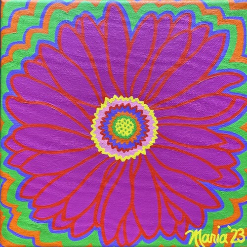 Gerbera Daisy (Good Shepherd Food Bank)