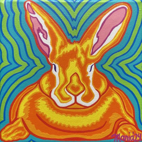 Lucky Rabbit (Midcoast Humane)