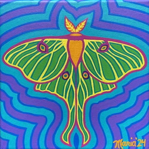 Luna Moth (Brunswick-Topsham Land Trust)