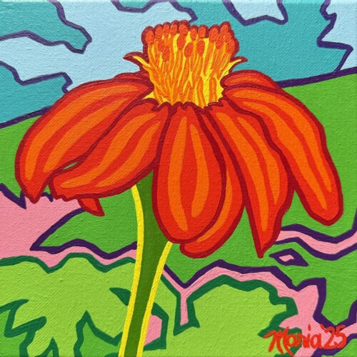 Mexican Sunflower (Good Shepherd Food Bank)