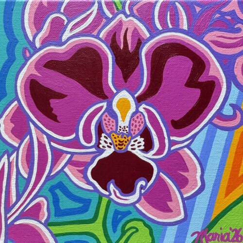 Orchid (Mid Coast Hunger Prevention Program)
