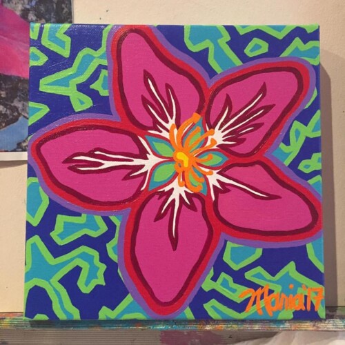 Blossom In My Driveway (The Telling Room)