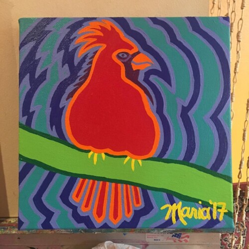 Happy Cardinal (Maine Audubon)