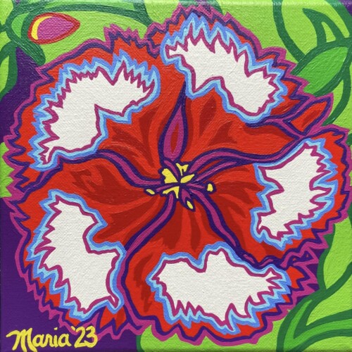 Sarah's Dianthus (Divided Sky Foundation)