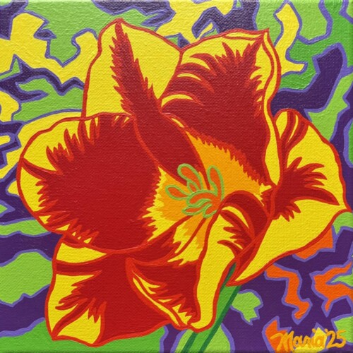 Steve's Tulip (ArtVan)