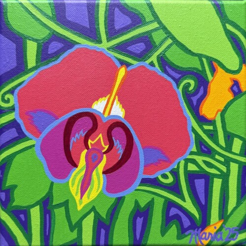 Sugar Snap Pea Blossom (Curtis Memorial Library)