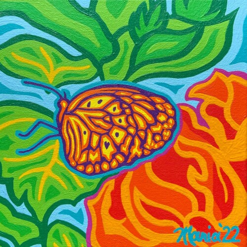 V's Butterfly (Brunswick-Topsham Land Trust)