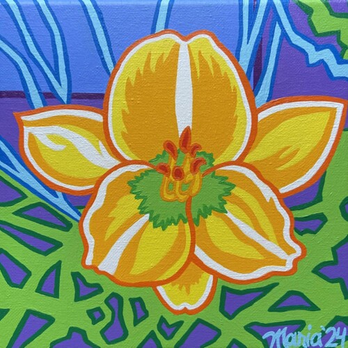 Yellow Daylily (Divided Sky Foundation)