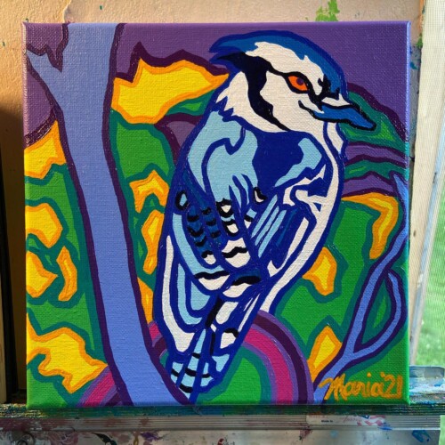 Blue Jay Buddy (MusiCares)