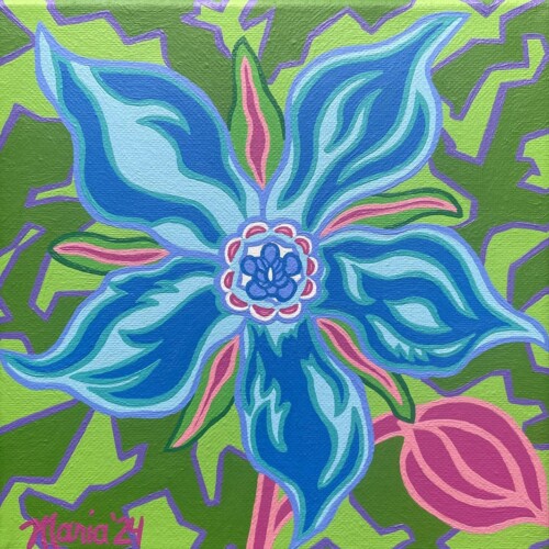 Borage (Sexual Assault Support Services of Midcoast Maine)