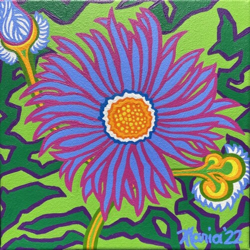 Happy Aster (ArtVan)