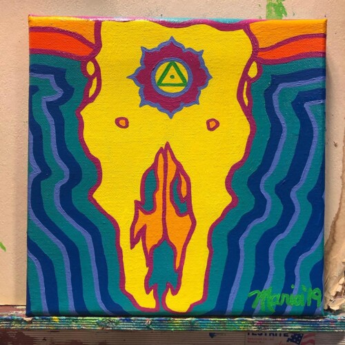 Skull, Ghost Ranch (MidCoast Hunger Prevention Program's "Backpack Program")