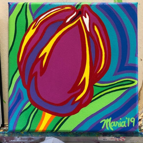 Tulip Potential (The Hole In The Wall Gang Camp)