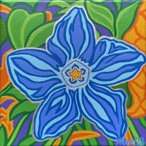 Twinkle Twinkle Periwinkle (Brunswick-Topsham Land Trust)